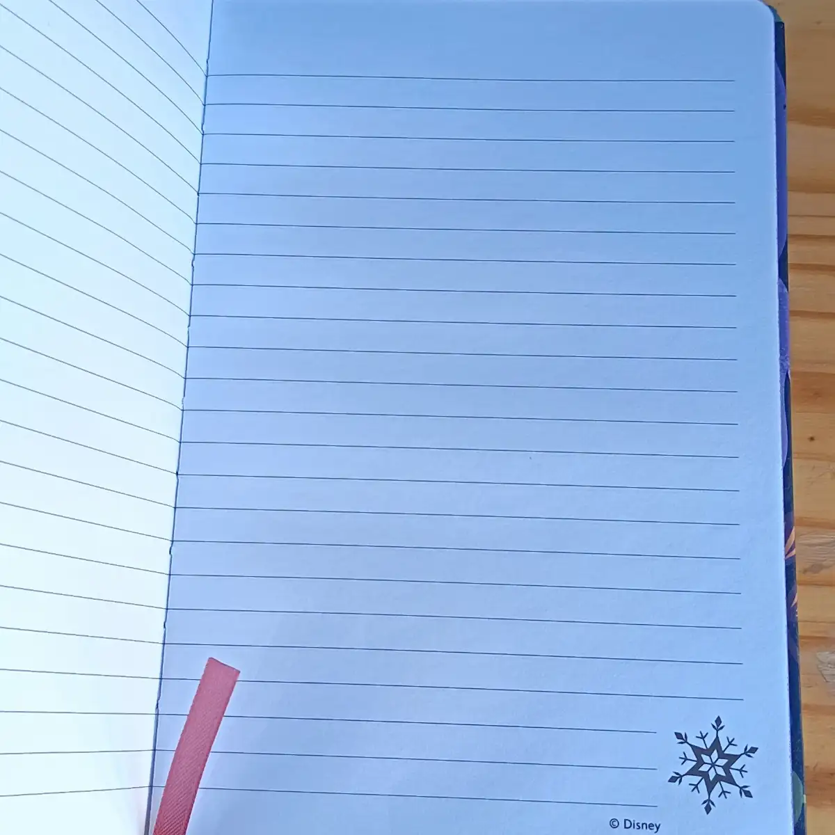 Carnet de notes Disney