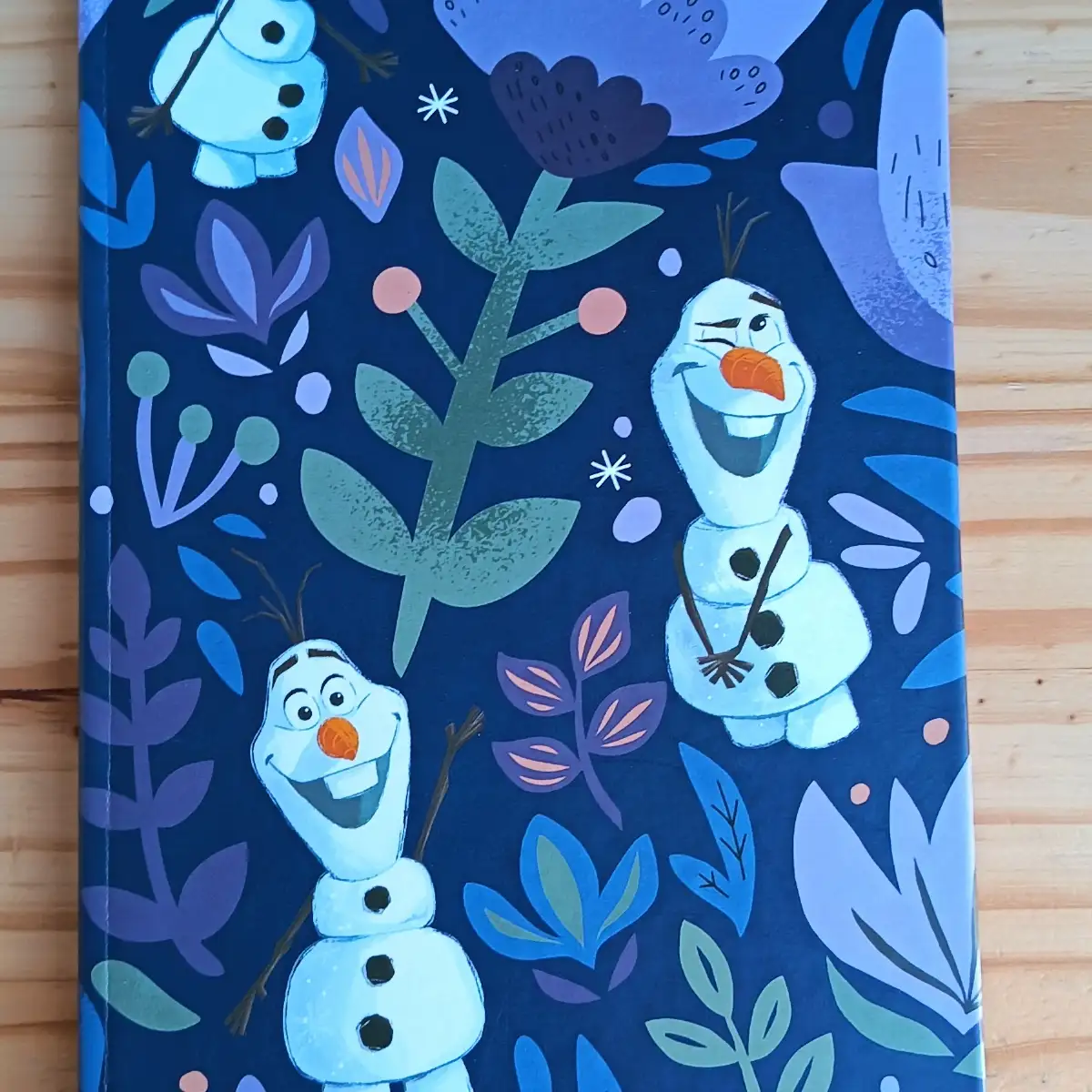 Carnet de notes Disney