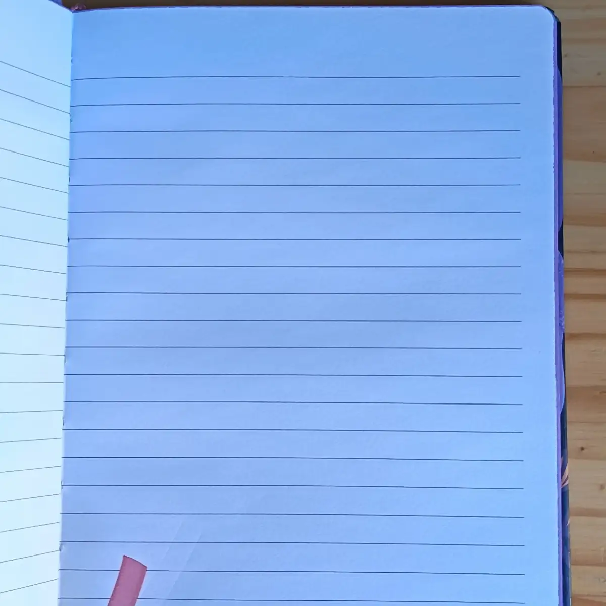 Carnet de notes Disney